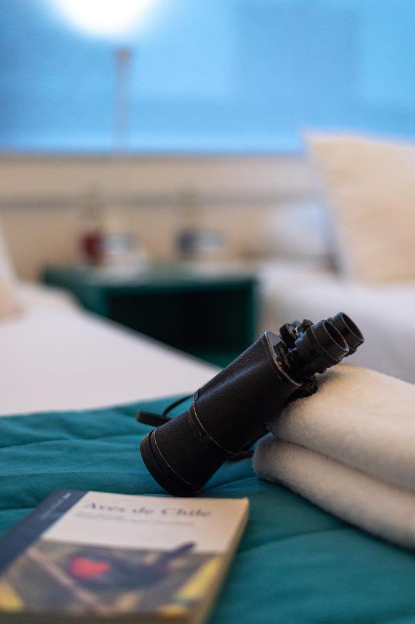 Hostal Boutique Terra Antarctica Пунта-Аренас Экстерьер фото